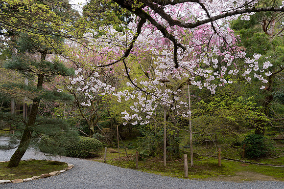 Shakuji-koen - Tokyo