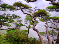 Huangshan Mountains
