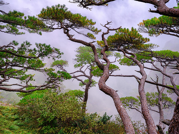 Huangshan Mountains