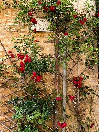 Mura Vecchia