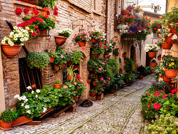 Infiorata Sunrise 2