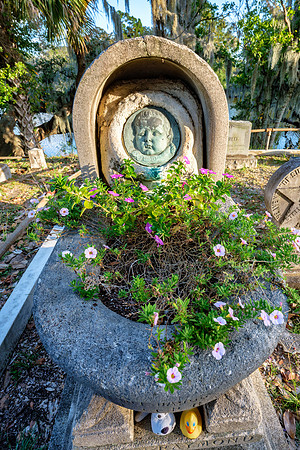 Charleston Cemetery