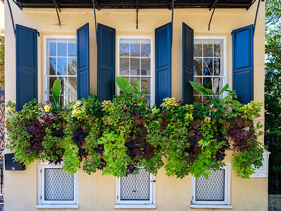 Rainbow Row