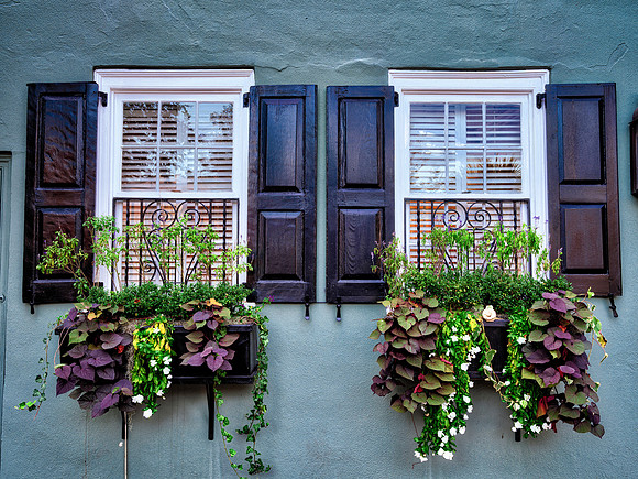 Rainbow Row