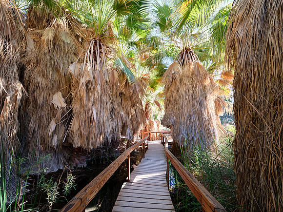Coachella Preserve