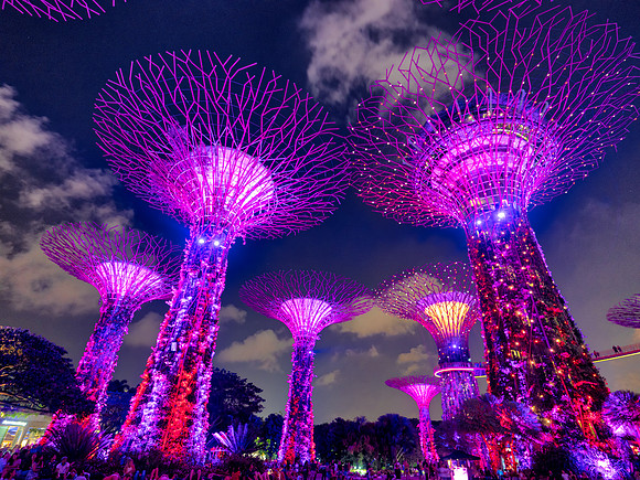 Gardens by the Bay