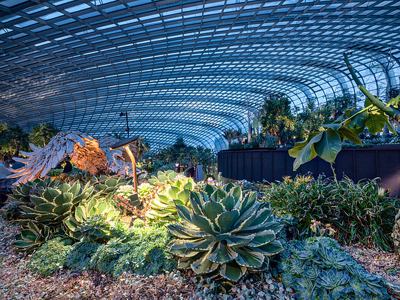 Gardens by the Bay