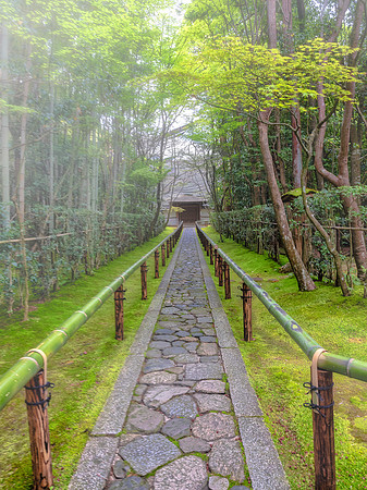 Koto-in rainy day - Kyoto