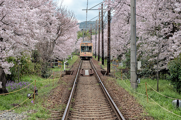 Randen densha - Kyoto