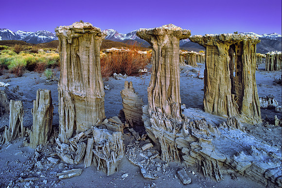 Sand Tufa at Dawn