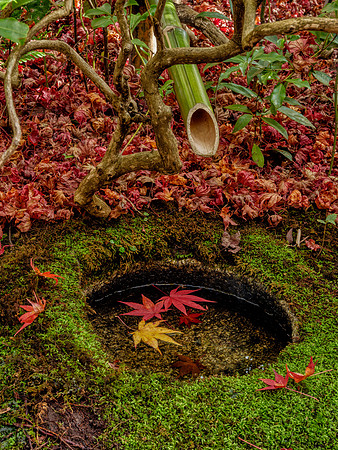 Ōkōchi Sansō garden - Kyoto