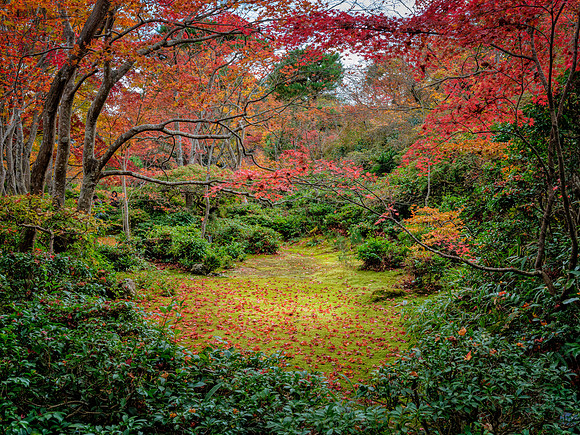 Ōkōchi Sansō garden - Kyoto