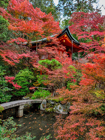 Bishamon-do - Kyoto