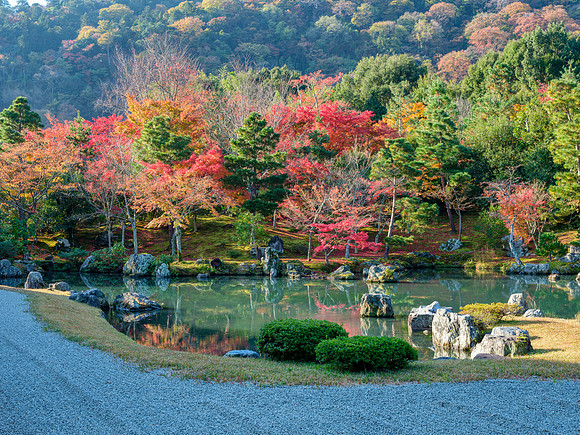 Tenryu-ji - Arashiyama