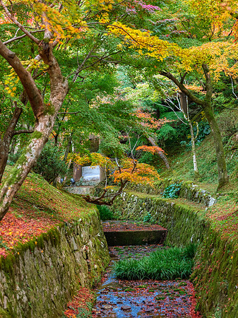 Tofuku-ji - Kyoto