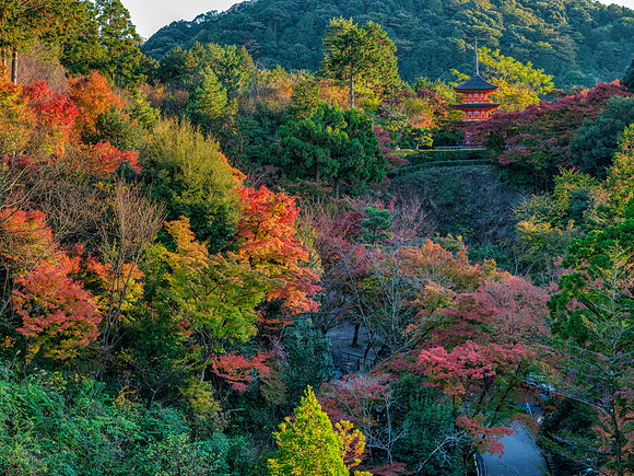 Kiyomizu-dera - Kyoto
