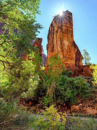 The Pulpit