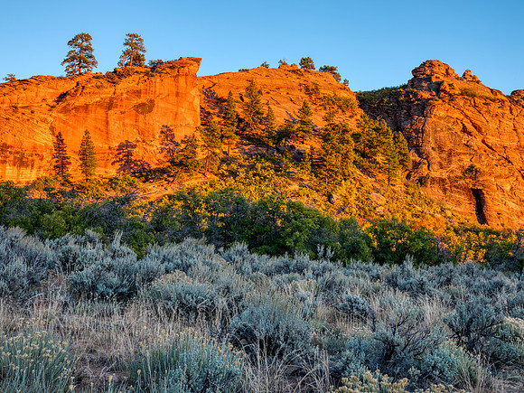 Kolob Terrace