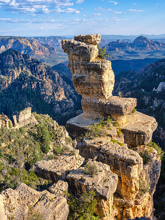 Jenga Tower