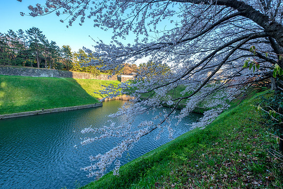 Chidorigafuchi - Tokyo