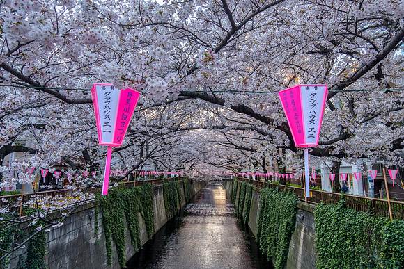 Meguro-Gawa