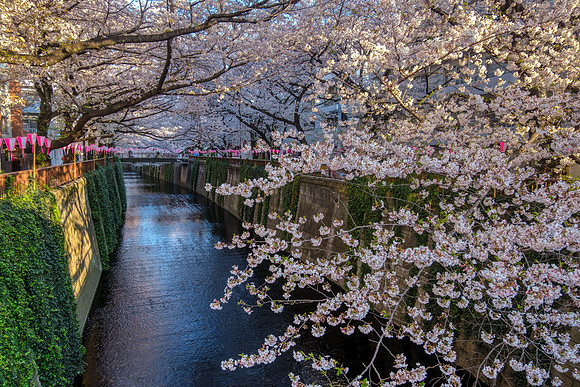 Meguro-gawa - Tokyo