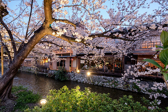 Gion Shirakawa - Kyoto