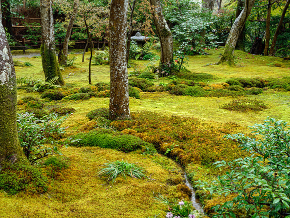 Giou-ji - Arashiyama
