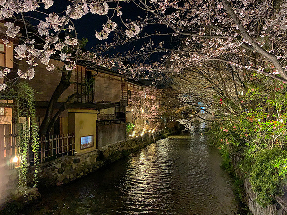 Gion Shirakawa - Kyoto