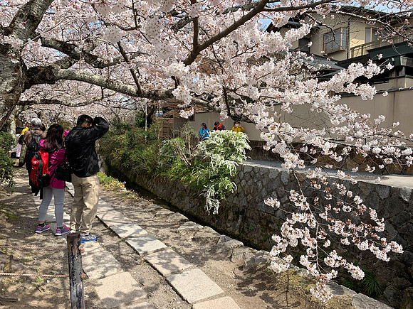 Path of Philosophy - Kyoto