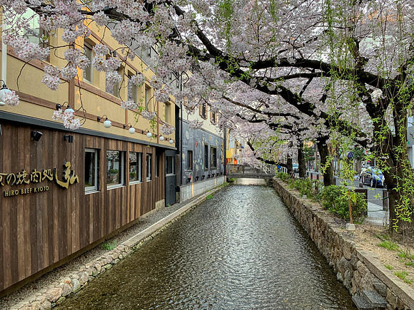 Gion Shirakawa - Kyoto