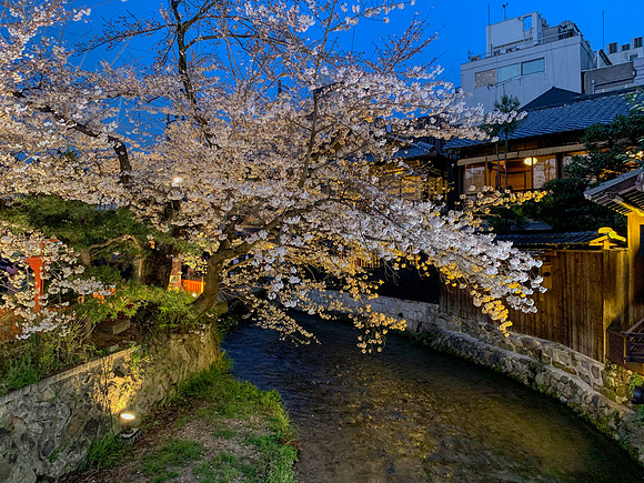 Gion Shirakawa - Kyoto