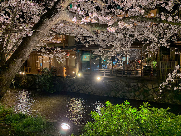 Gion Shirakawa - Kyoto