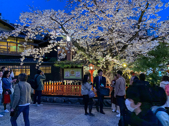 Gion Shirakawa - Kyoto