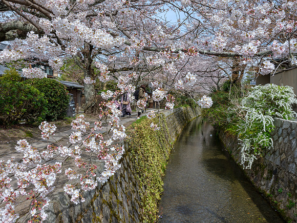 Path of philosophy - Kyoto