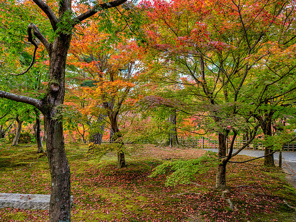 Tofuku-ji - Kyoto