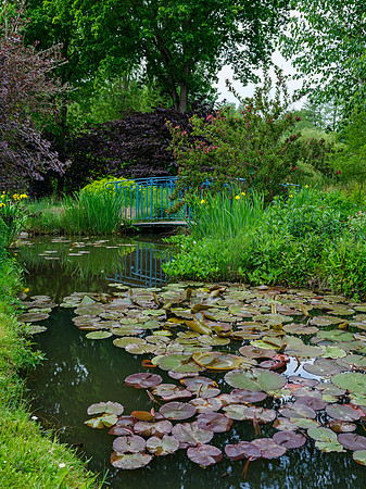 Van Beek Garden