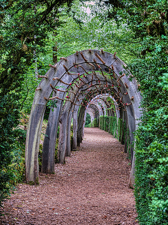 Jardins de Marqueyssac