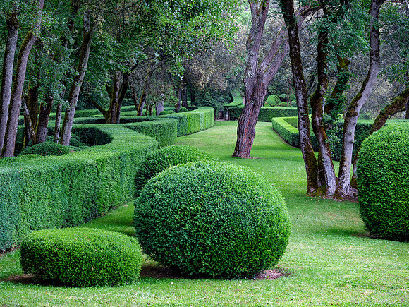 Jardins de Marqueyssac