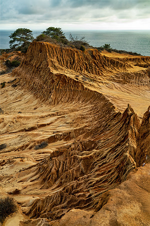 Torrey Pines
