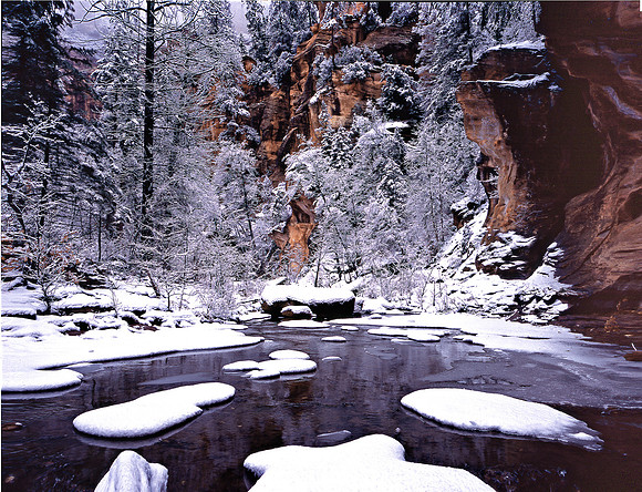 Intimate Snowscape