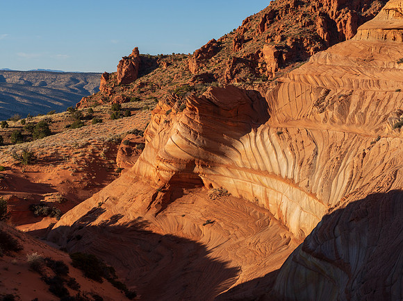 Paw Hole Heights