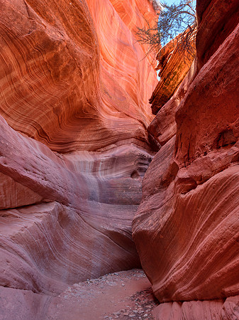Red Canyon Turn
