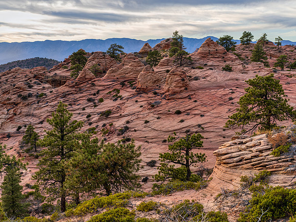 Kolob Terrace
