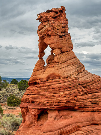 Lion King