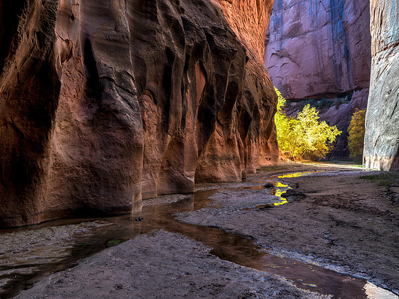 Confluence