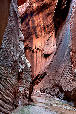 Buckskin Gulch