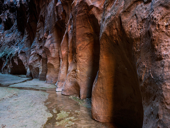 Buckskin Gulch