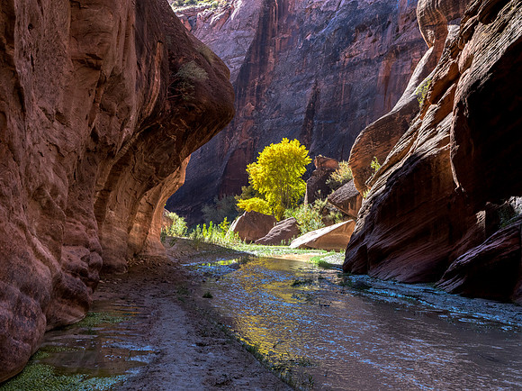 Confluence