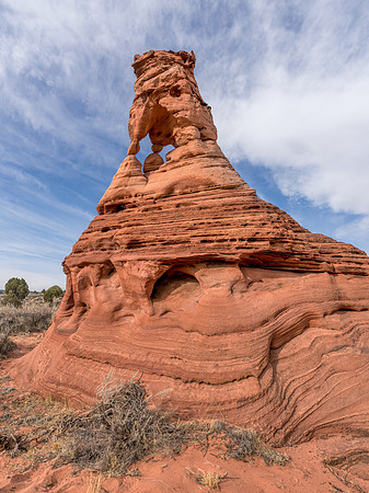 Lion King